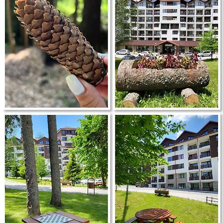 The Green Apartment Borovets Bagian luar foto