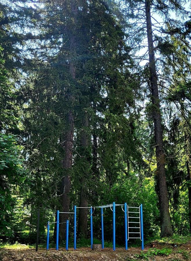 The Green Apartment Borovets Bagian luar foto
