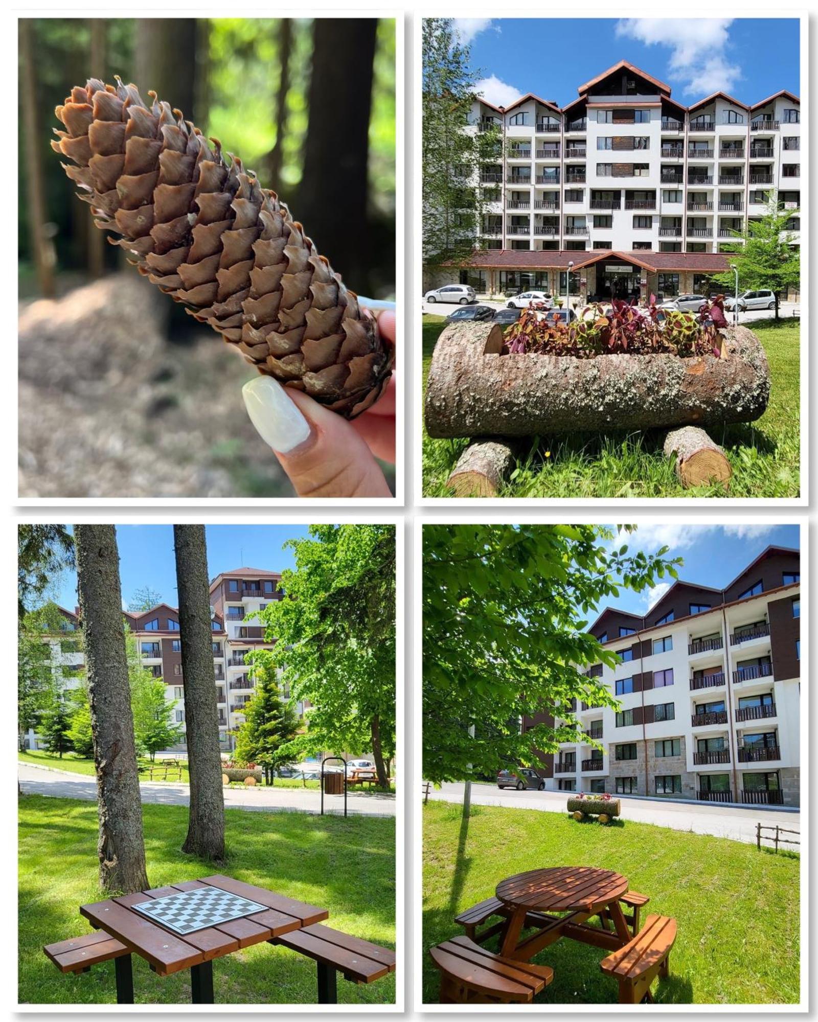 The Green Apartment Borovets Bagian luar foto