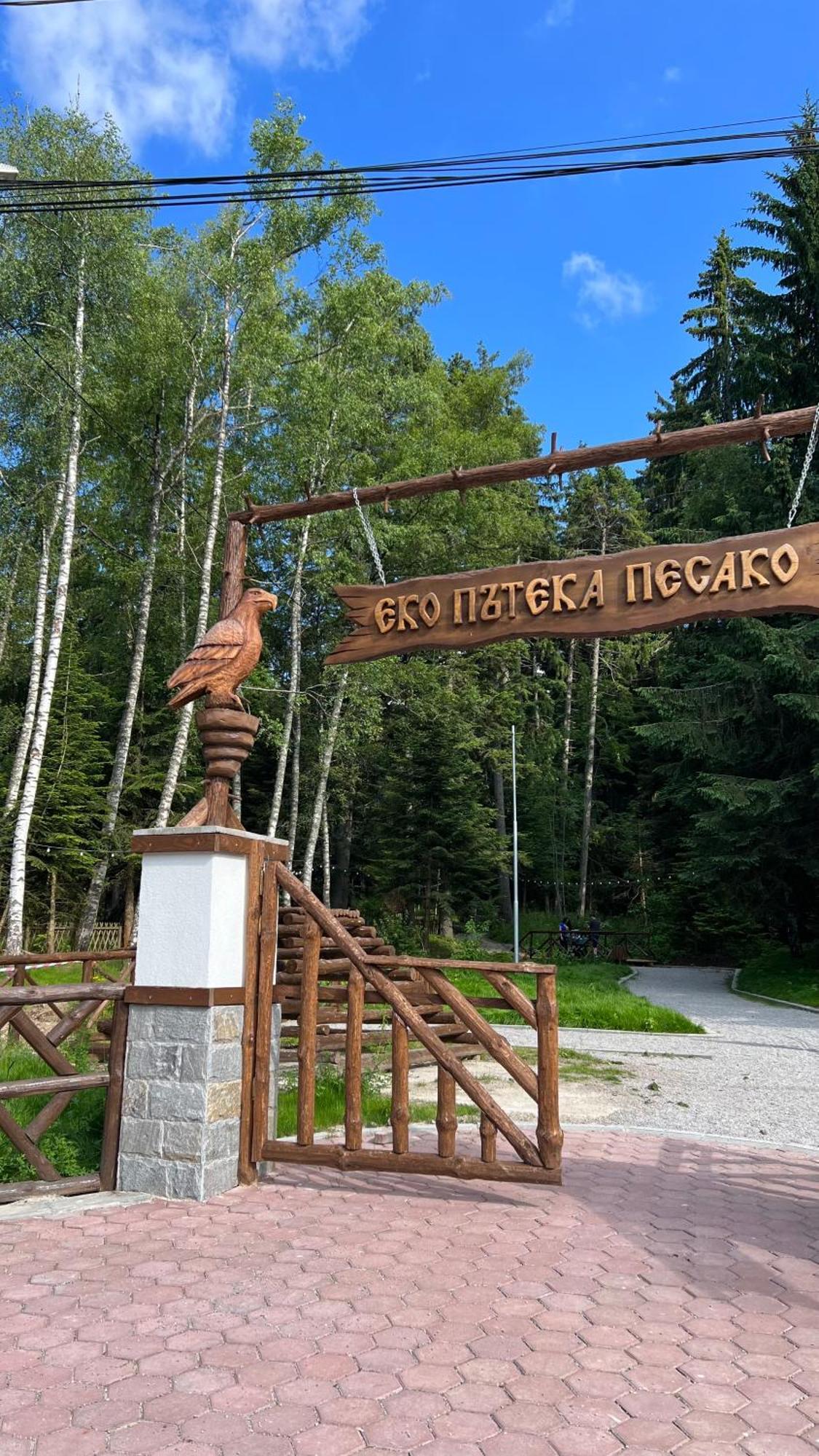 The Green Apartment Borovets Bagian luar foto